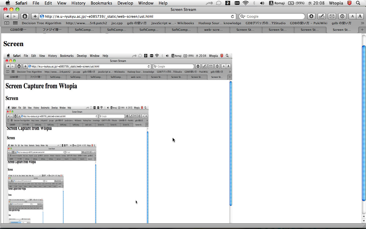 screen