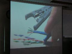 P1020122.JPG