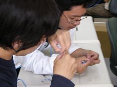 P1020182.JPG