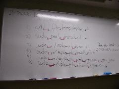 P1020219.JPG