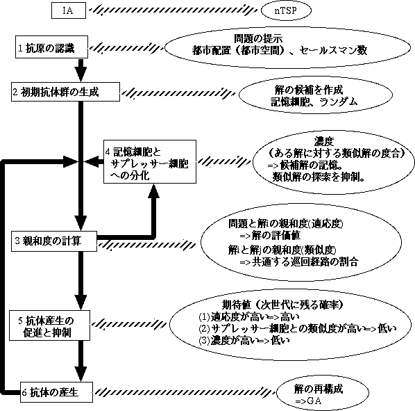�ȱ֥��르�ꥺ�फ��ߤ�nTSP